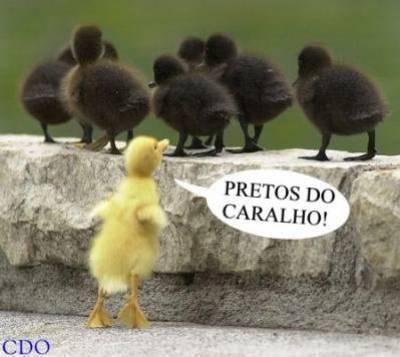 ptdr pretos do caralho mdr